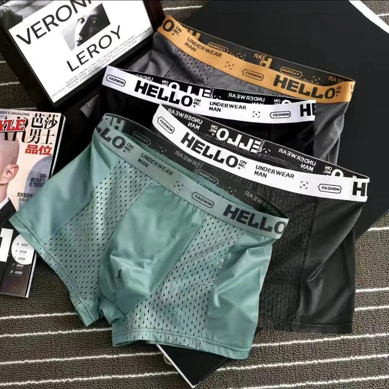 Men's Underwear Ice Silk BoxerShorts Man Panties Boxers Elastic Breathable Mesh Male Underpants Sexy cuecas calzoncillos L-4XL