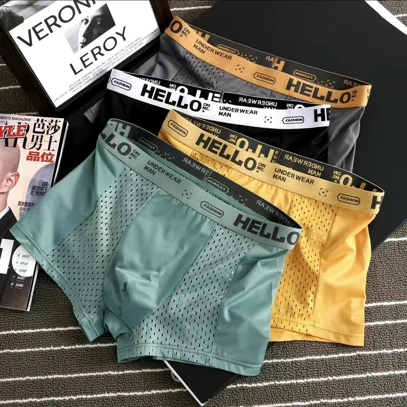 Men's Underwear Ice Silk BoxerShorts Man Panties Boxers Elastic Breathable Mesh Male Underpants Sexy cuecas calzoncillos L-4XL